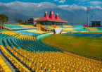 Manali to Dharamshala