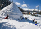 Srinagar to Gulmarg and Return