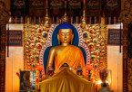Dharamshala Local