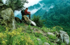 Manali to Kasol – Into the Heart of Parvati Valley